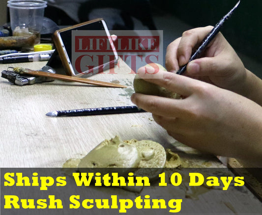 10-Days Rush Sculpting service with proofs