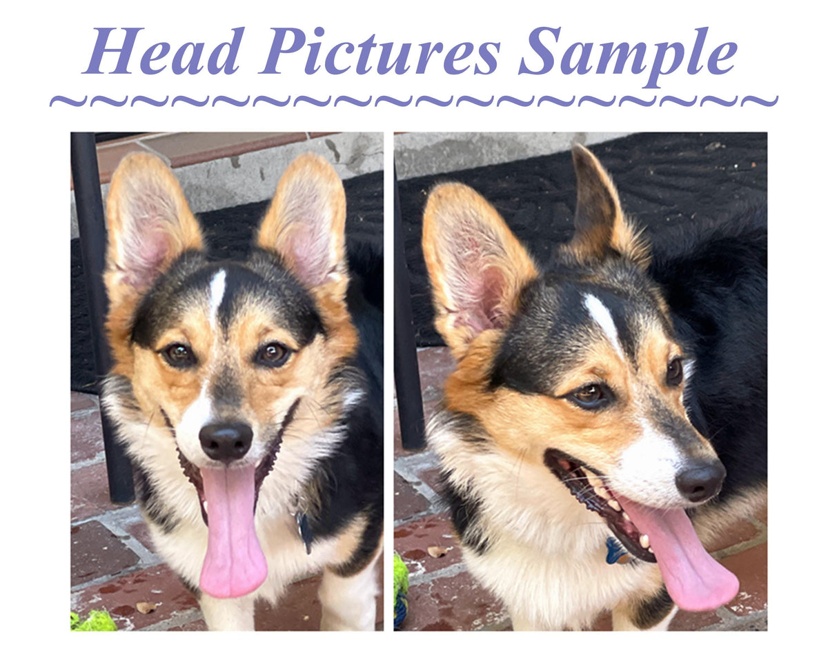 Custom Pet Bobblehead, dashboard nodding dog, Handmade Dog/Cat Figurine, pet memorial Keepsake