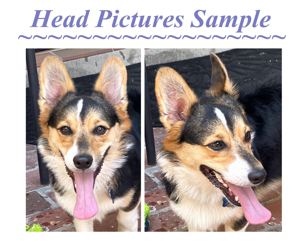 Custom Pet Bobblehead, 3D Handmade Dog figurine Memorial Statue, Office Decor